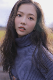噼里啪啦免费高清看